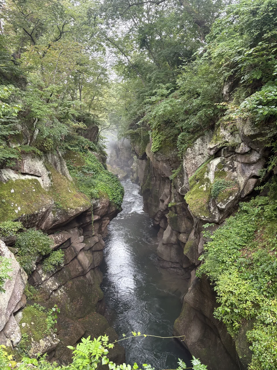 Water running through a narrow, moss-covered rocky gorge.